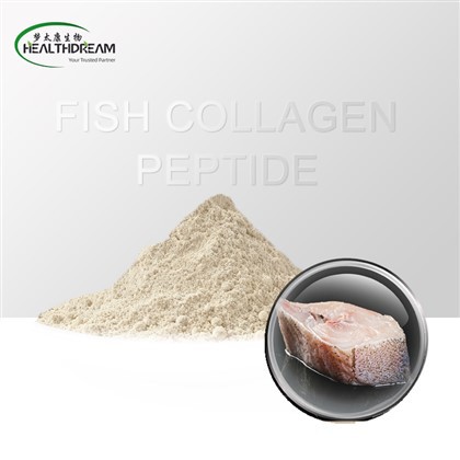 Peptid ribljeg kolagena